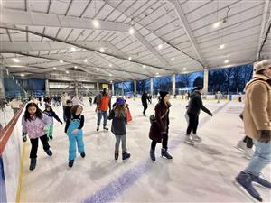Rink