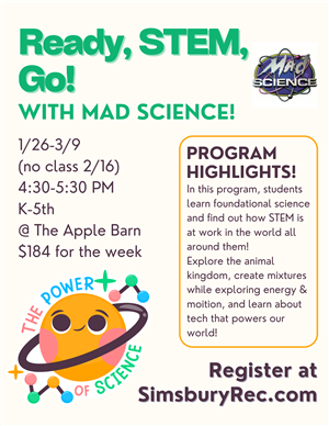 Mad Science Flyer