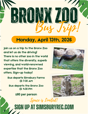 Zoo Trip Flyer
