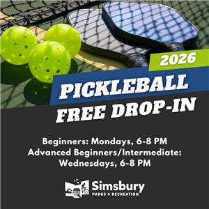 Drop in pickleball
