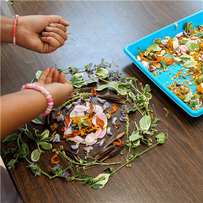 A childs hand creating a design with flower petals and seeds